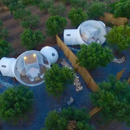 Luxury Bubble Suites *
